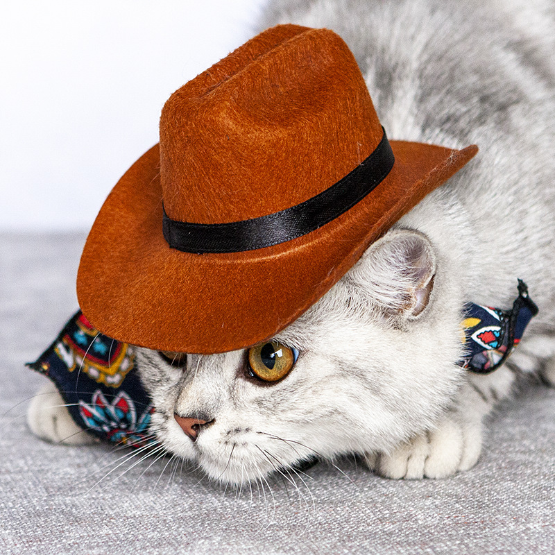 Oem Pet Cowboy Felt Hat Costume Cosplay Costumes For Dogs Cat Pet Party Decoration